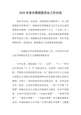 2025年县共青团委员会工作总结