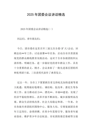 2025年团委会议讲话精选