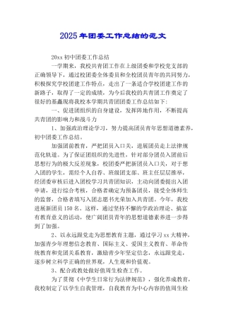 2025年团委工作总结的范文