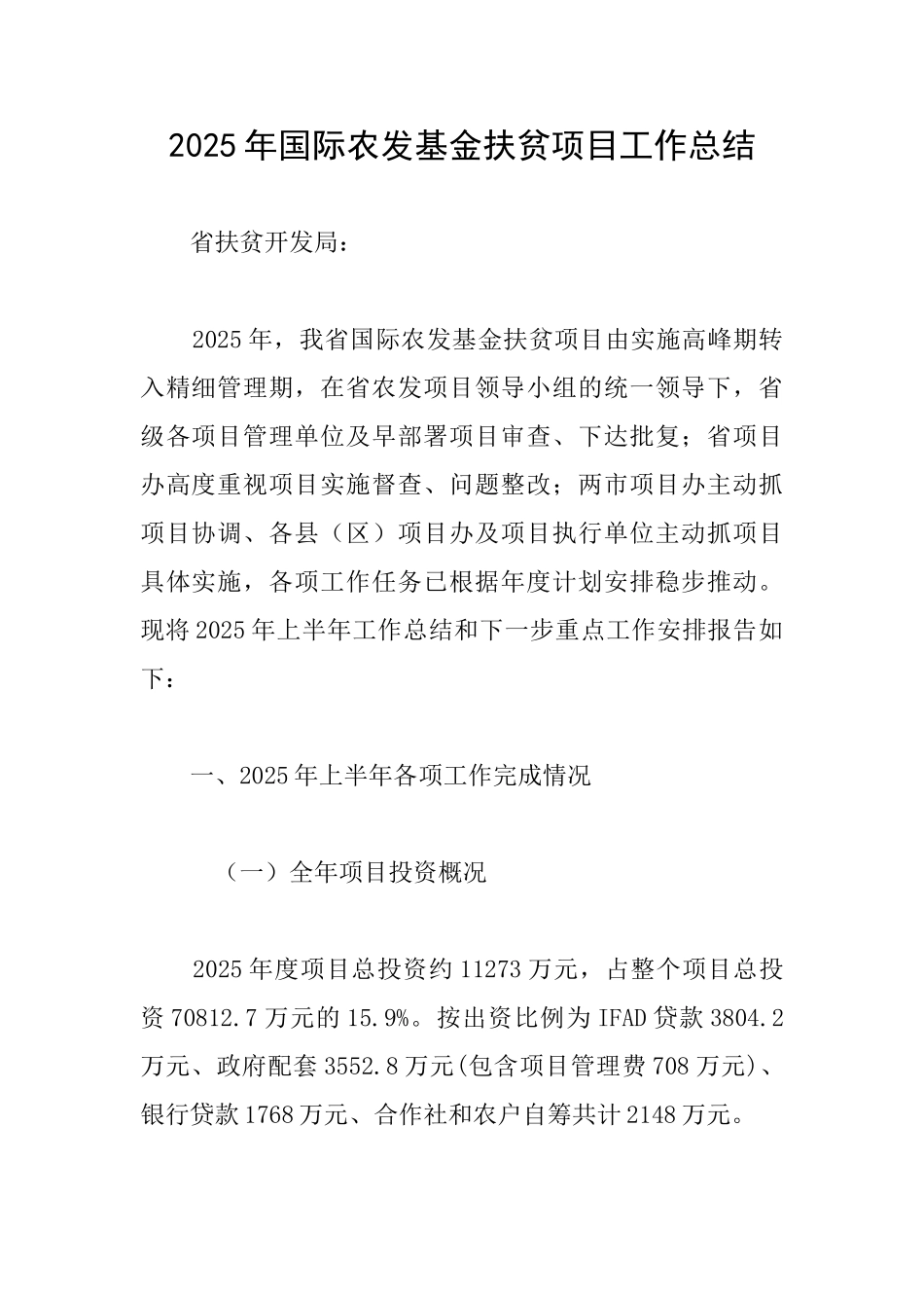 2025年国际农发基金扶贫项目工作总结_第1页