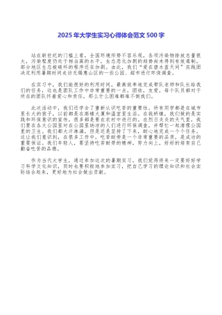 2025年大学生实习心得体会范文500字