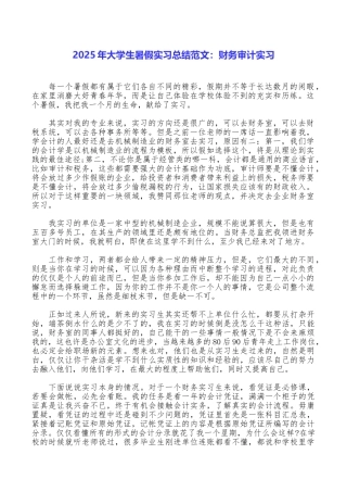 2025年大学生暑假实习总结范文：财务审计实习