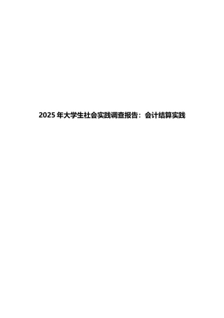 2025年大学生社会实践调查报告：会计结算实践