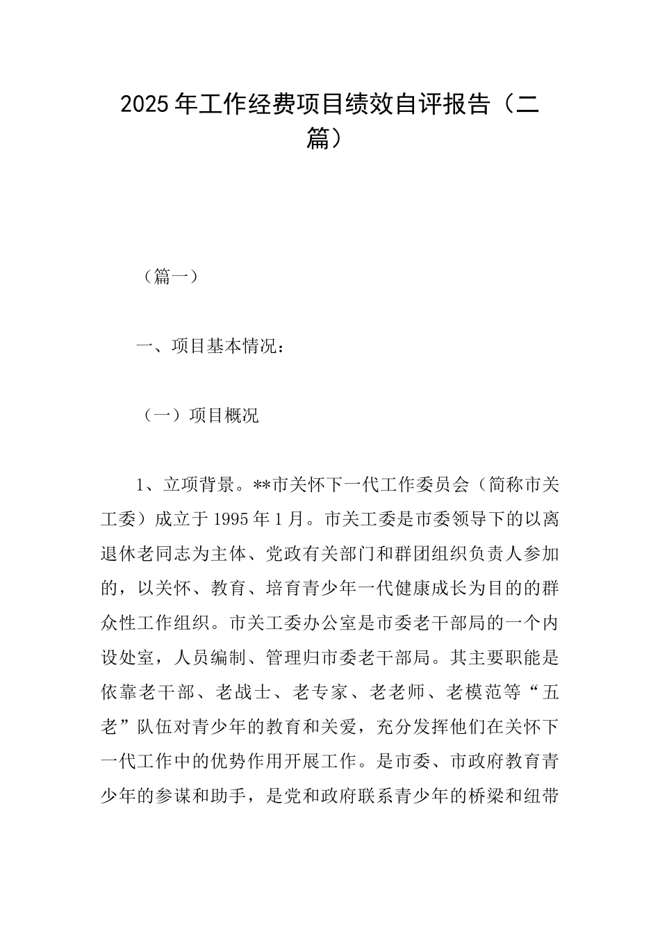 2025年工作经费项目绩效自评报告_第1页