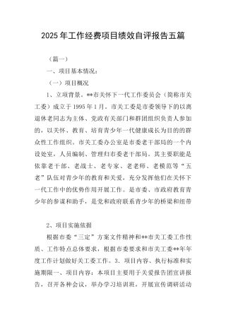 2025年工作经费项目绩效自评报告五篇