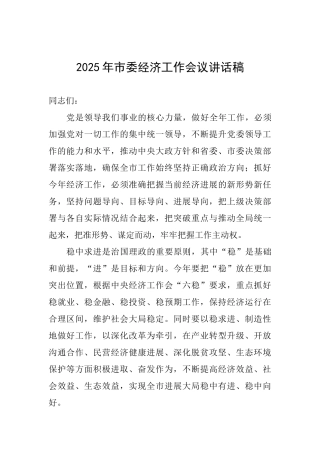2025年市委经济工作会议讲话稿0