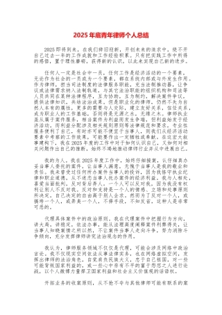 2025年底青年律师个人总结