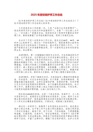 2025年度初级护师工作总结