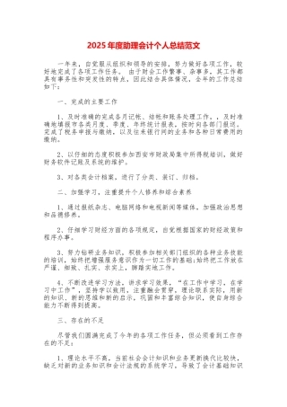 2025年度助理会计个人总结范文