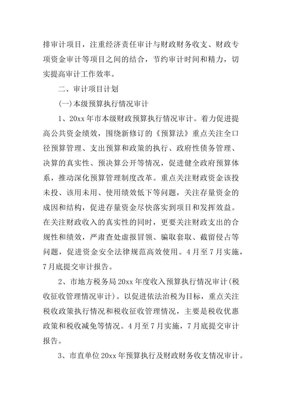 2025年度审计工作计划报告_第2页