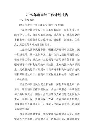2025年度审计工作计划报告
