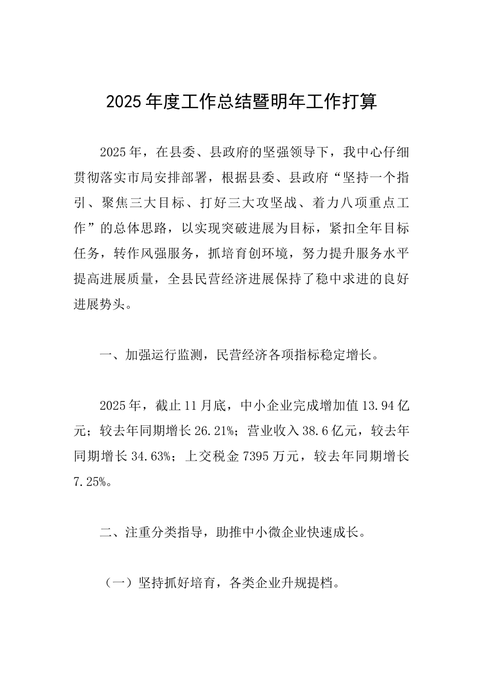 2025年度工作总结暨明年工作打算_第1页