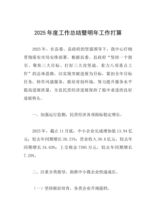 2025年度工作总结暨明年工作打算