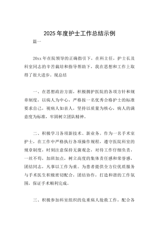 2025年度护士工作总结示例