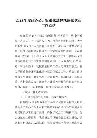 2025年度政务公开标准化规范化试点工作总结