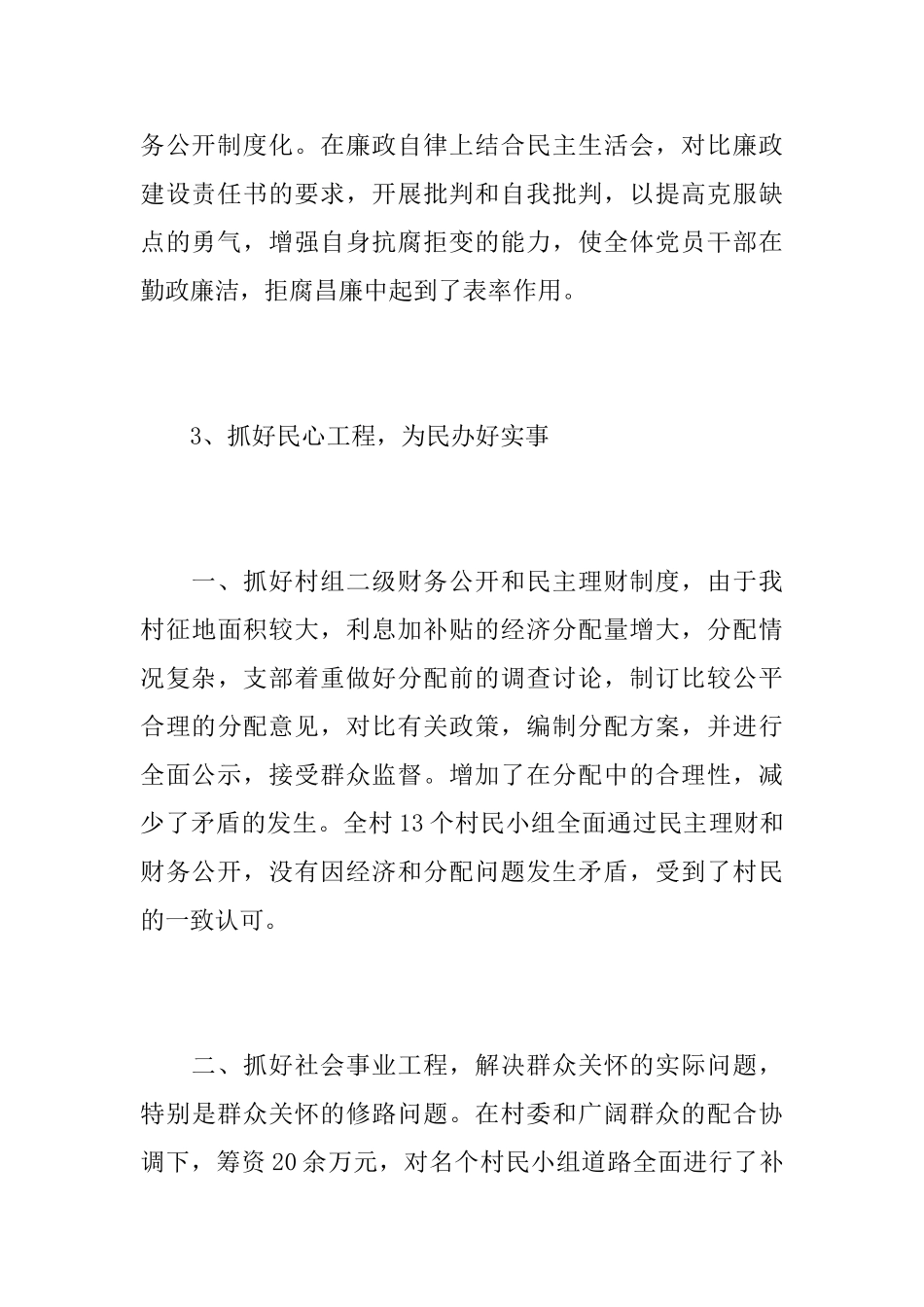 2025年度村党支部工作总结_第3页