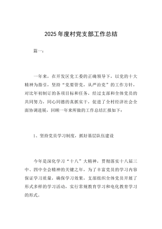 2025年度村党支部工作总结