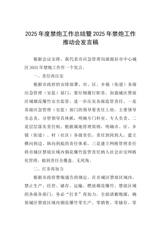 2025年度禁炮工作总结暨2025年禁炮工作推进会发言稿