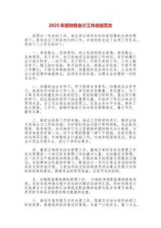 2025年度财务会计工作总结范文