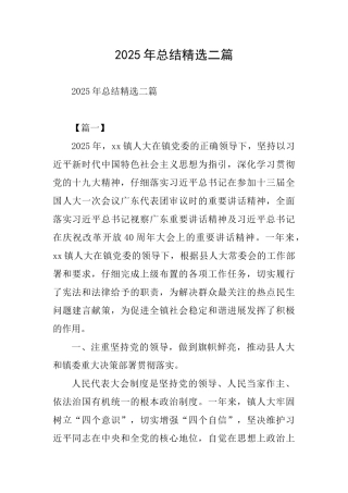 2025年总结精选二篇