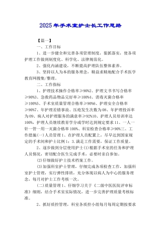 2025年手术室护士长工作思路