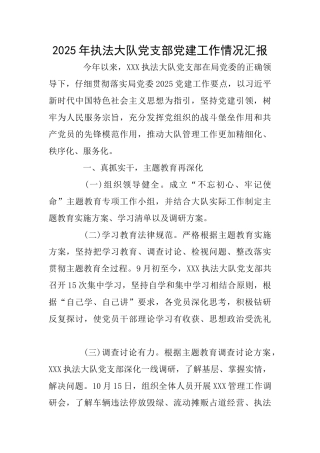 2025年执法大队党支部党建工作情况汇报