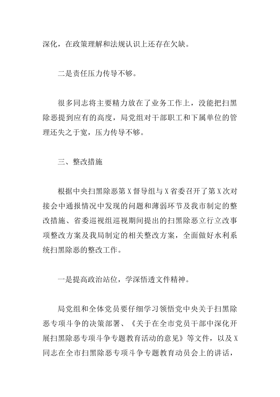 2025年扫黑除恶专项斗争专题生活会发言_第3页