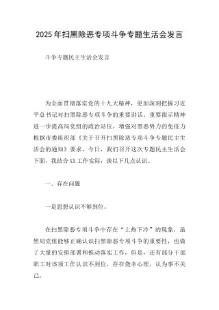 2025年扫黑除恶专项斗争专题生活会发言