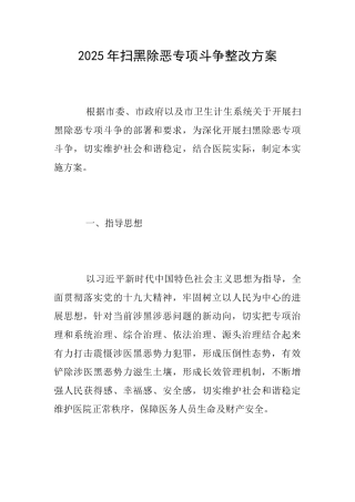 2025年扫黑除恶专项斗争整改方案