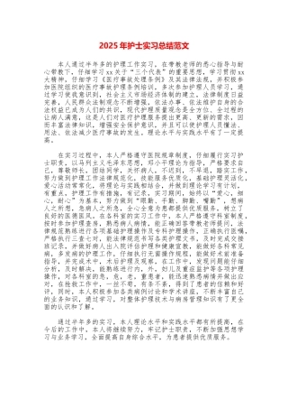 2025年护士实习总结范文