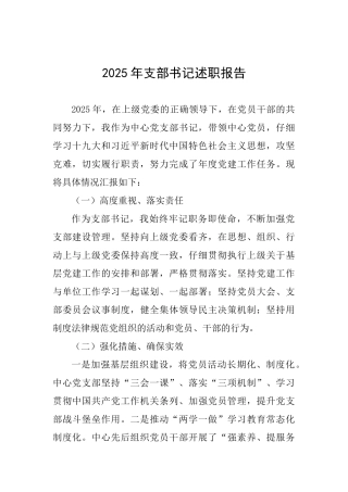 2025年支部书记述职报告