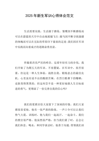 2025年新生军训心得体会范文