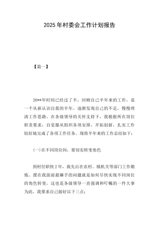 2025年村委会工作计划报告
