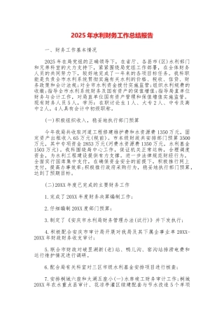 2025年水利财务工作总结报告