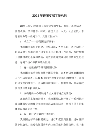 2025年班团支部工作总结