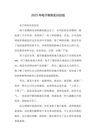 2025年电子商务实训总结