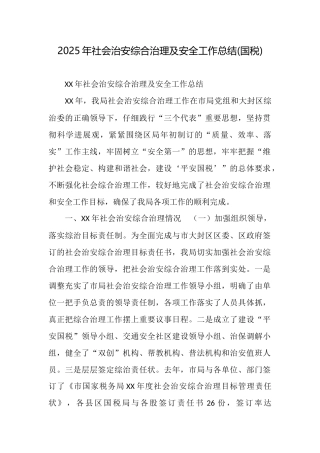 2025年社会治安综合治理及安全工作总结