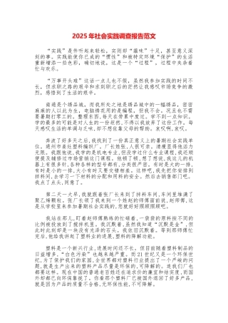 2025年社会实践调查报告范文