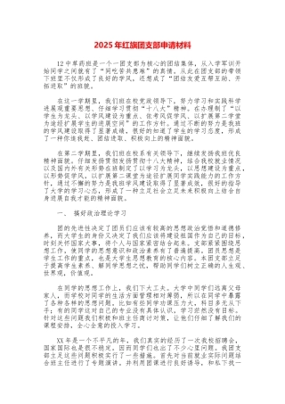 2025年红旗团支部申请材料