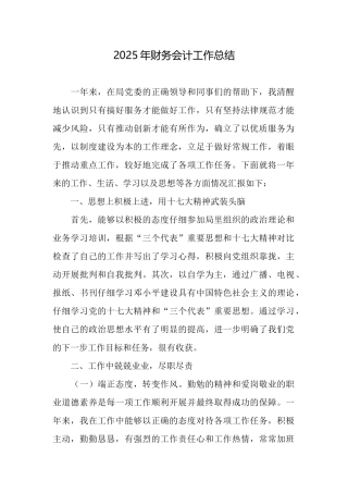 2025年财务会计工作总结