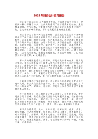 2025年财务会计实习报告