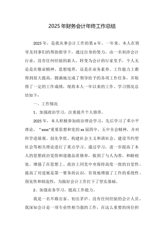 2025年财务会计年终工作总结