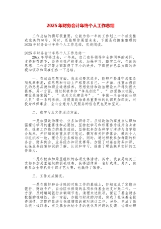2025年财务会计年终个人工作总结
