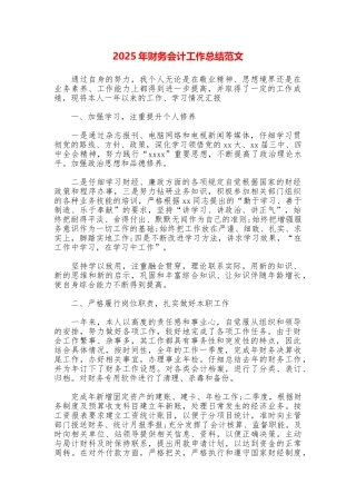 2025年财务会计工作总结范文