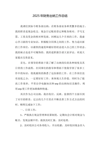 2025年财务出纳工作总结