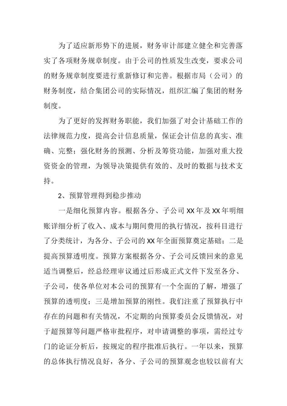 2025年财务审计工作总结_第2页