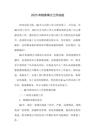 2025年财务审计工作总结