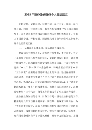 2025年财务处长财务个人总结范文