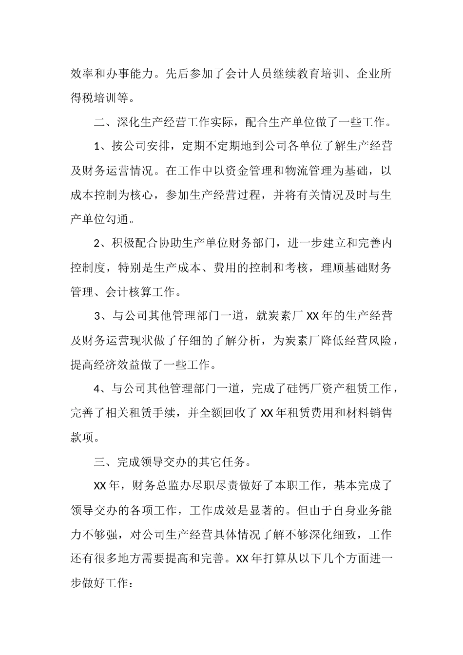 2025年财务总监工作总结_第2页