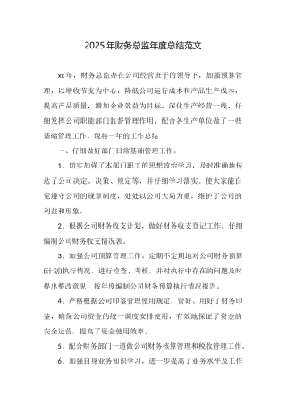 2025年财务总监年度总结范文